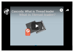 Cascoda: What Is a Thread leader?